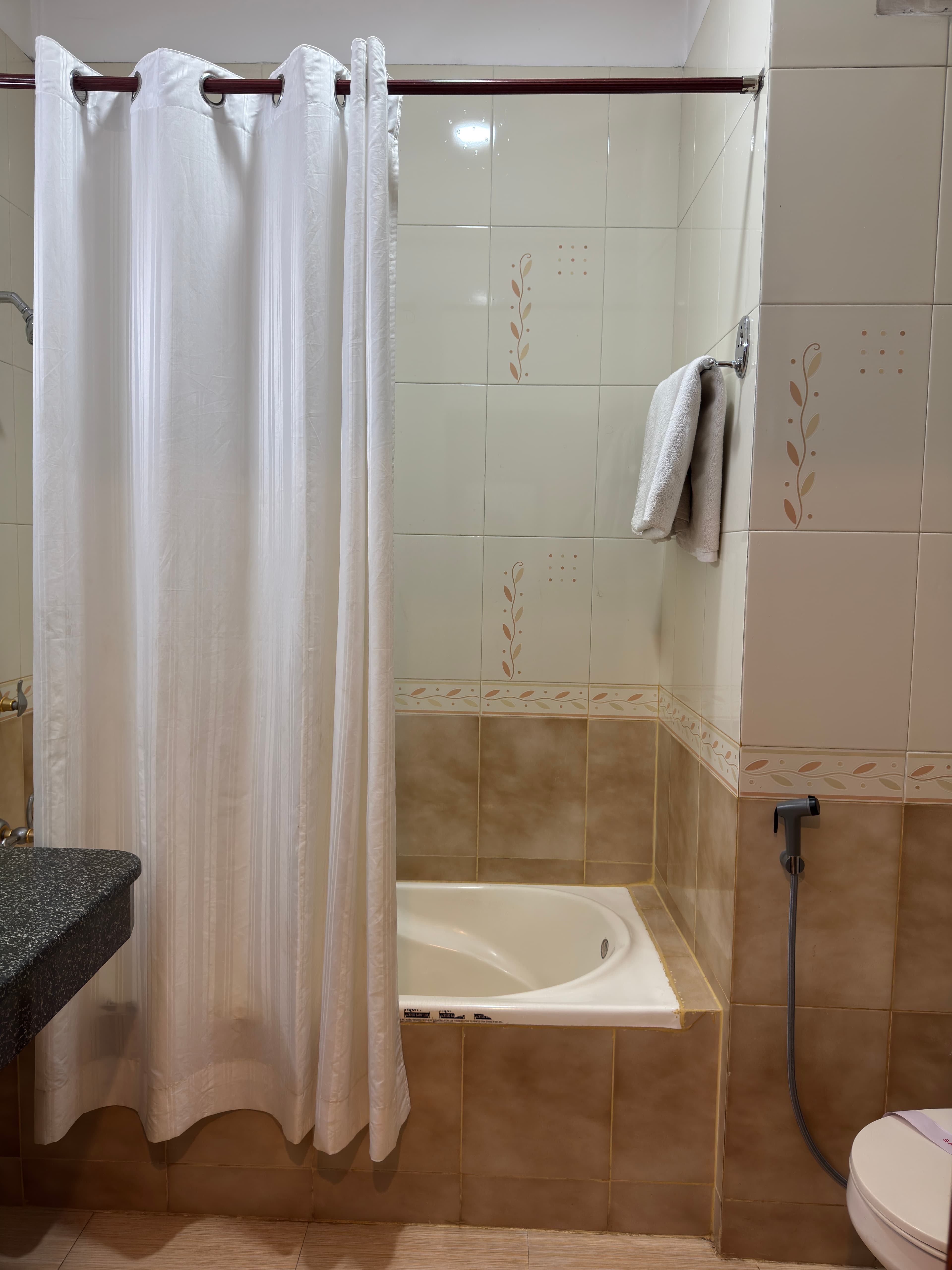 Royal Regency Manali — photo 21