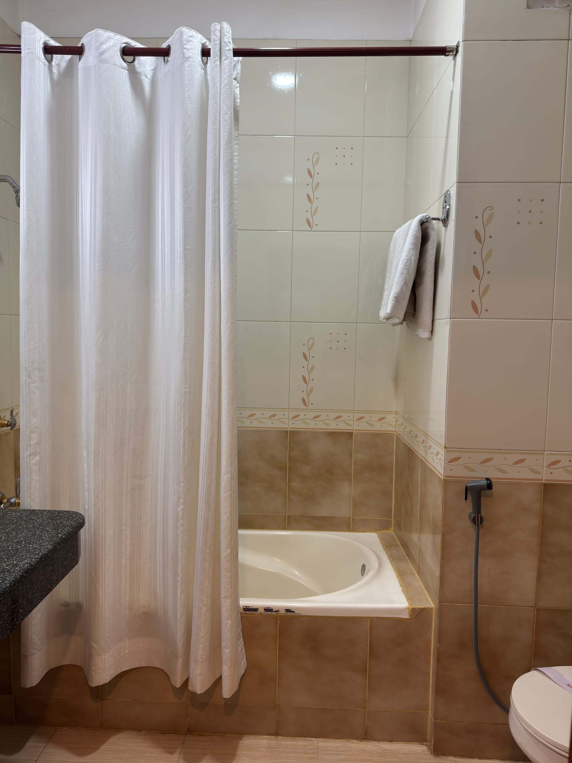 Royal Regency Manali 21